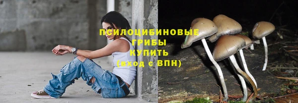 ECSTASY Алексеевка