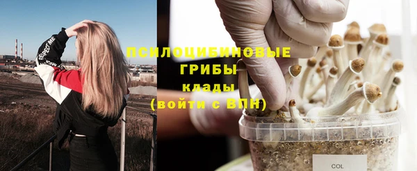ECSTASY Алексеевка