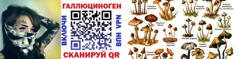 цены наркотик Бокситогорск Псилоцибиновые грибы Psilocybe