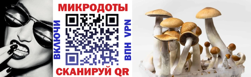 Галлюциногенные грибы мицелий Бокситогорск